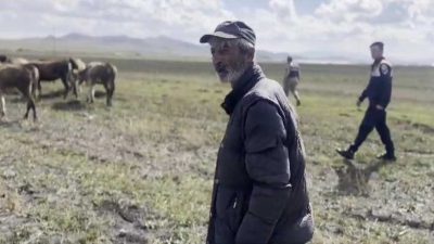 Kars’ta kaybolan 35 büyükbaş hayvan jandarma ekiplerince bulunarak sahiplerine teslim