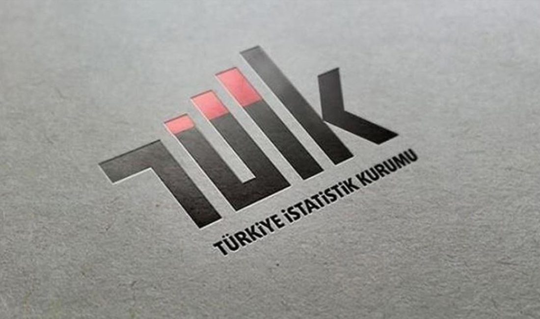 Türkiye İstatistik Kurumu (TÜİK),