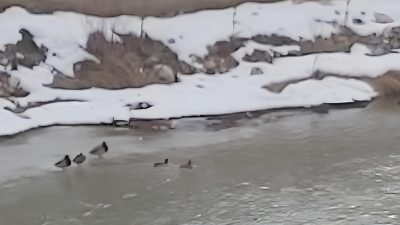 Bayburt’ta etkili olan soğuk hava, Çoruh Nehri’nin bazı bölümlerini dondurdu.