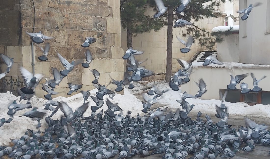 Bayburt'un simgesi haline gelen