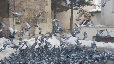 Bayburt'un simgesi haline gelen Ulu Camii, tarihi atmosferi ve mimari