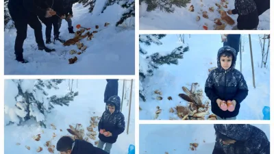 Bayburt'ta soğuk kış günlerin de yiyecek bulmakta zorlanan yaban hayvanları