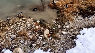 Bayburt'un en önemli doğal güzelliklerinden biri olan Çoruh Nehri, bu