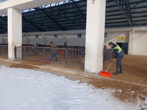 Canlı Hayvan Pazarı Yeniden Hizmetinizde!