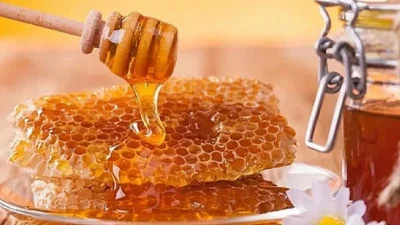 Doğu Karadeniz'den 2024 yılında ABD başta olmak üzere 13 ülkeye