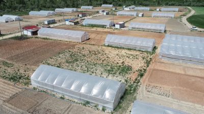 Sanayi ve Teknoloji Bakanlığı Kalkınma Ajansları Genel Müdürlüğü koordinasyonunda Kuzeydoğu