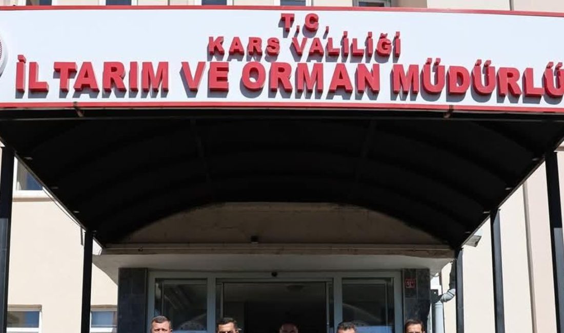 Kars'ta büyükbaş hayvan varlığı sayısı 604 bin 296, küçükbaş hayvan varlığı