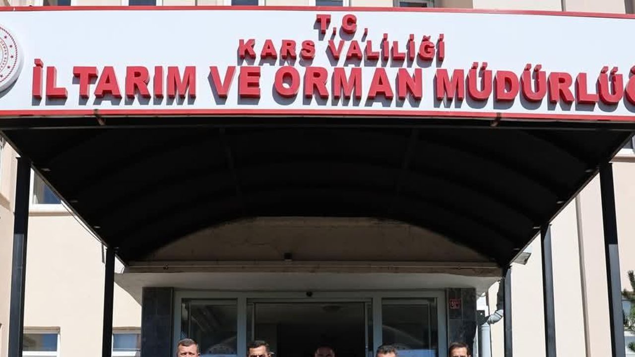 Kars'ta büyükbaş hayvan varlığı sayısı 604 bin 296, küçükbaş hayvan varlığı