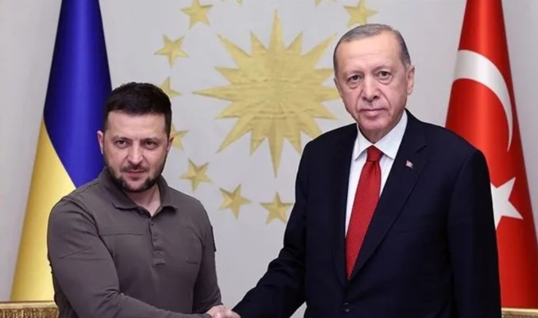 Cumhurbaşkanı Recep Tayyip Erdoğan ve Ukrayna Devlet Başkanı Volodimir Zelenskiy