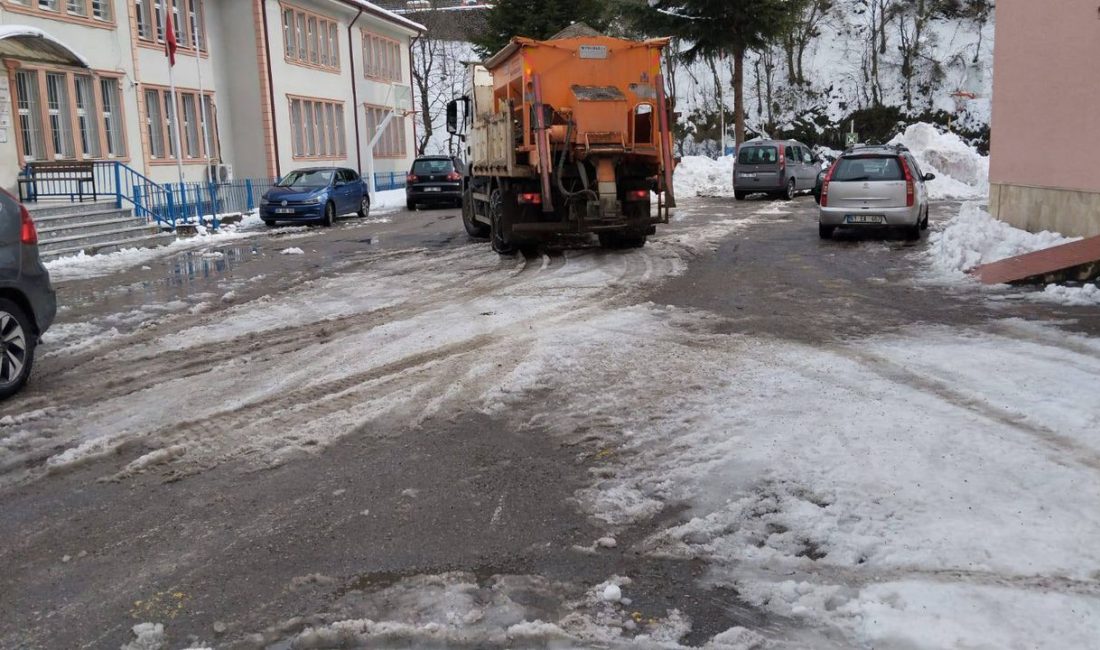 Trabzon'da 20 Şubat'tan bu yana etkili olan kar yağışı, özellikle