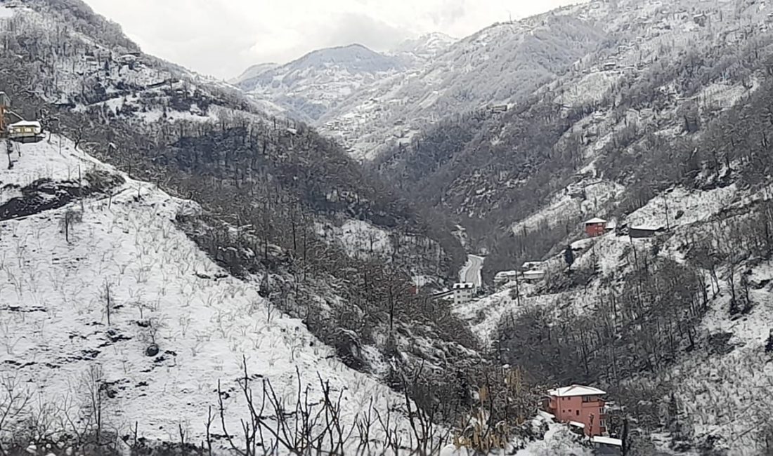 Trabzon'un Şalpazarı ilçesinde kar yağışı, buzlanma ve olumsuz hava şartları