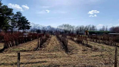 Erzincan Bahçe Kültürleri Araştırma Enstitüsü 2 Nisan 2025 Çarşamba günü