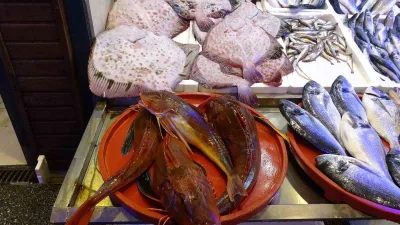 Karadeniz'de kırlangıç ve kalkan balığı bolluğuyla dikkat çekiyor. Kırlangıç balığının