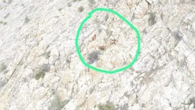Eskişehir'de Y.K. adlı vatandaşın kaybolan 4 küçükbaş hayvanı, jandarma ekiplerinin