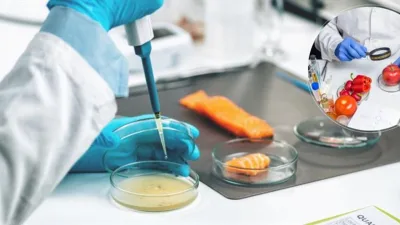 Tarım ve Orman Bakanı İbrahim Yumaklı, Avrupa Birliği (AB) kurumu olan