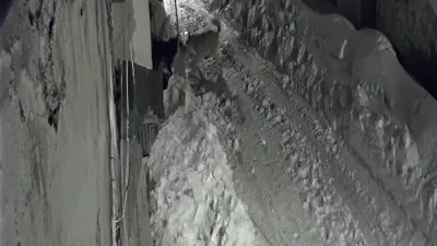 Ardahan'da aç kalan kurtlar, yerleşim yerlerine inerek köpeklere saldırıyor. Çataldere