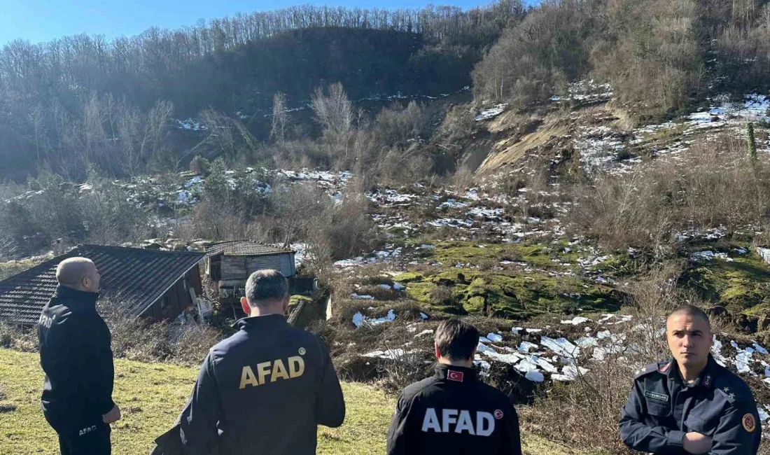 AFAD Başkan Yardımcısı Önder Bozkurt, Sinop'un Türkeli ilçesinde meydana gelen