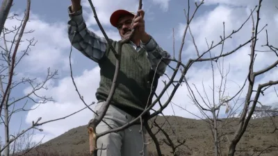 Bayburtlu üreticilere meyve ağaçlarıyla ilgili detaylı budama bilgisi verildi. Budamanın