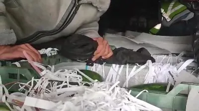 Amasya'da durdurulan karpuz yüklü tırda 3 Afganistan uyruklu kaçak göçmen