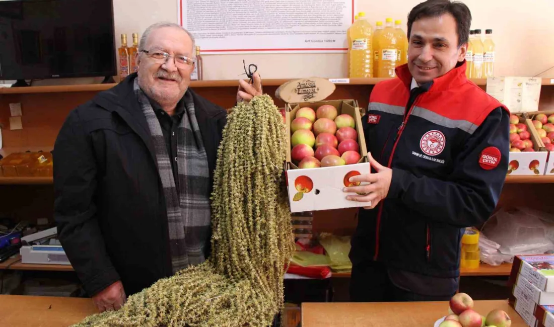 Amasya'nın misket elması ve çiçek bamyasına AB coğrafi işaret tescili