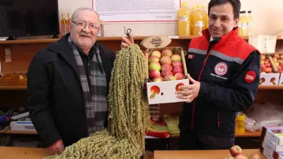 Amasya'nın misket elması ve çiçek bamyasına AB coğrafi işaret tescili