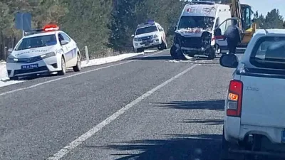 Hanak ilçesinde meydana gelen trafik kazasında, F.A. yönetimindeki ambulans ağaçlara