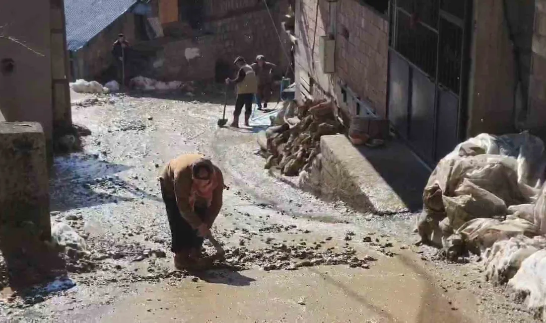 Rize'nin Ardeşen ilçesine bağlı Aşağı Durak köyünde meydana gelen heyelan