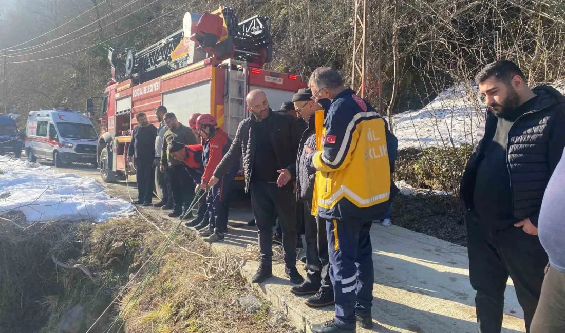 Artvin'in Borçka ilçesinde dereye düşen vatandaş, ekipler tarafından hızlı bir