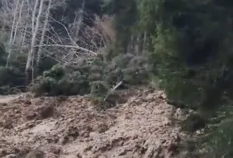 Artvin'in Ardanuç ilçesinde meydana gelen heyelan, Tosunlu Köyü'nde yolları kapattı