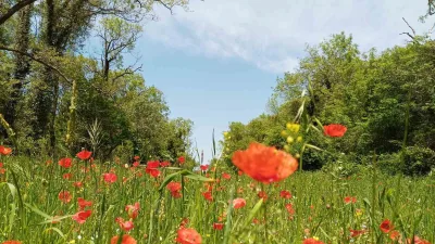Göğüs Hastalıkları Uzmanı Prof. Dr. Nurhan Köksal, bahar aylarında mevsimsel