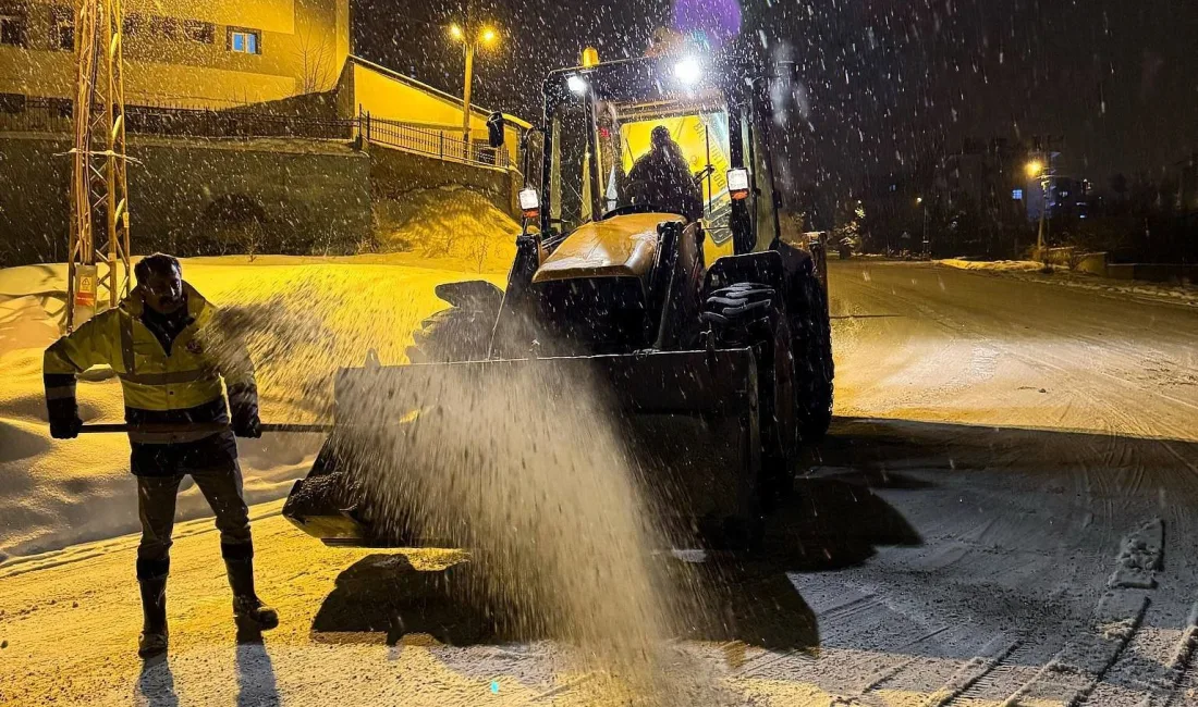 Bayburt'ta kar yağışı etkili olurken gece saatlerinde Aydıntepe ilçesinde hava