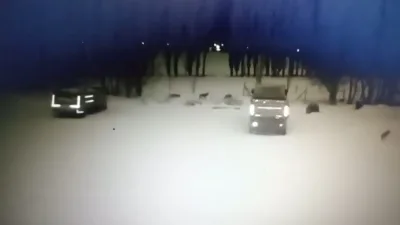 Bayburt'un Arpalı Beldesinde aç kurtlar köpeğe saldırarak öldürdü. Güvenlik kamerası