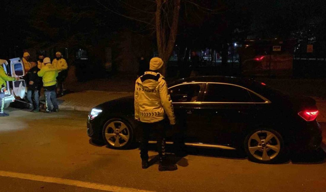 Bolu’da trafik ve yunus polisleri, şehrin kilit noktalarından biri olan