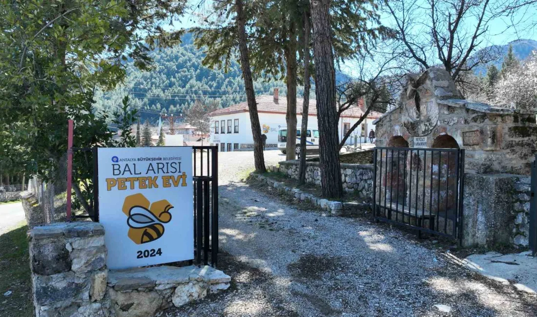 Antalya Büyükşehir Belediyesi'nin "Bal Arısı Petek Evi" projesi, İbradı ilçesinde