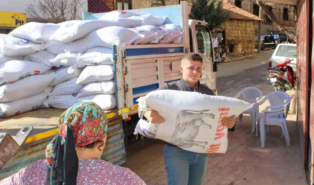 Antalya Büyükşehir Belediye Başkanı Muhittin Böcek'in 'Süt Yemi Projesi' kapsamında