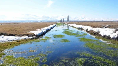 Erzurum ve çevresi için Meteoroloji uyarı verdi. Buzlanma, don etkisiyle