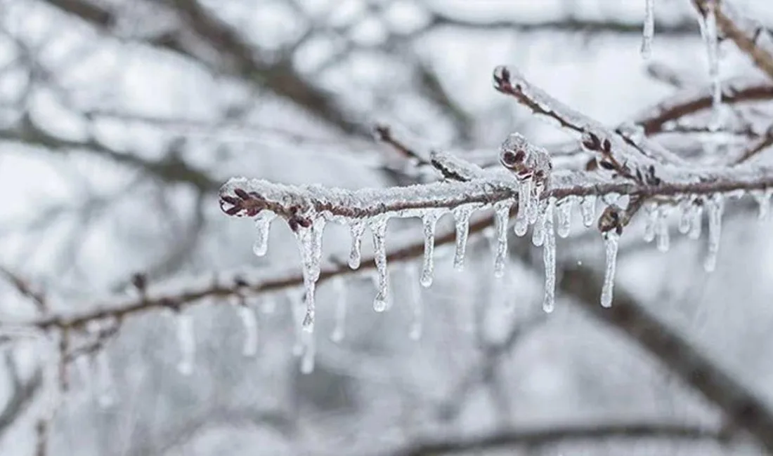 Ankara Valiliği, 19 Mart itibarıyla etkili olması beklenen kuvvetli rüzgar,