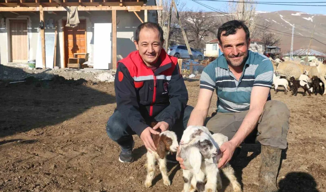 Erzincan'da yoğun kar yağışı ve tipi sonucu zarar gören çiftçilere