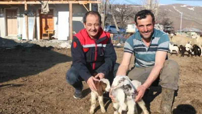 Erzincan'da yoğun kar yağışı ve tipi sonucu zarar gören çiftçilere