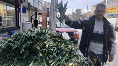 Erzincan'da doğal antibiyotik olarak kullanılan çiriş otu, pazarcılar için geçim