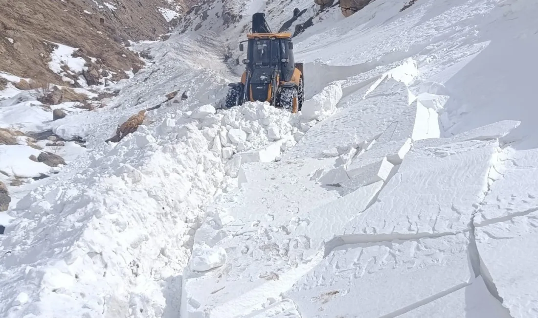 Meteoroloji Doğu'daki 7 il için çığ riskine dikkat çekti. Erzincan,