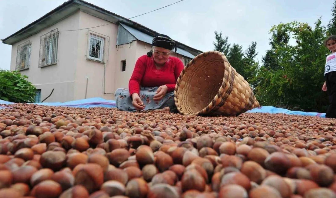 Düzce'den ocak ve şubat aylarında 5 bin 422 ton iç