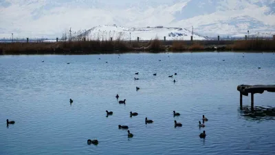 Erzincan'daki Ekşisu Sazlığı, dünya mirası kuşların dinlenme ve beslenme noktasıdır.