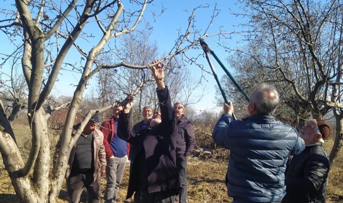 Erzincan'da Tarım ve Orman İl Müdürlüğü, meyve bahçelerinde yapılacak olan