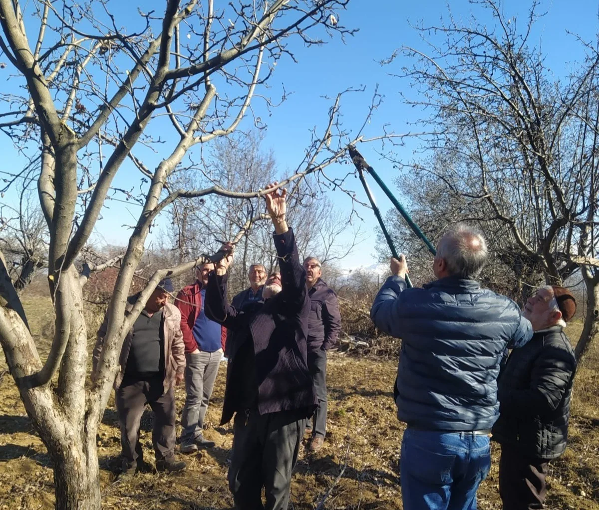 Erzincan'da Tarım ve Orman İl Müdürlüğü, meyve bahçelerinde yapılacak olan