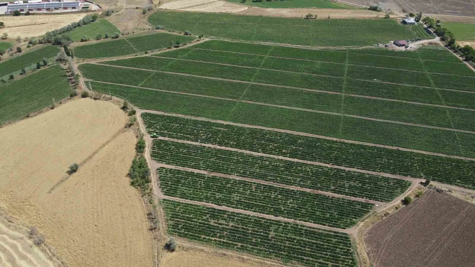 Erzincan Tarım ve Orman İl Müdürlüğü tarafından yürütülen projede, çiftçilere