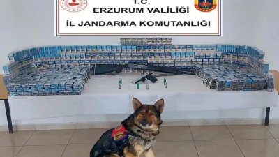Erzurum'da jandarma operasyonunda 8 tabanca, 4 av tüfeği, bin 500