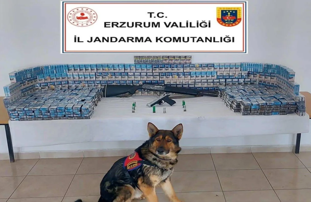 Erzurum'da jandarma operasyonunda 8 tabanca, 4 av tüfeği, bin 500