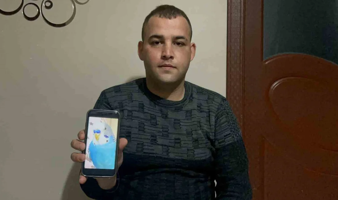 Hatay'ın İskenderun ilçesinde yaşayan Ferhat Okur, 6 yıldır beslediği muhabbet