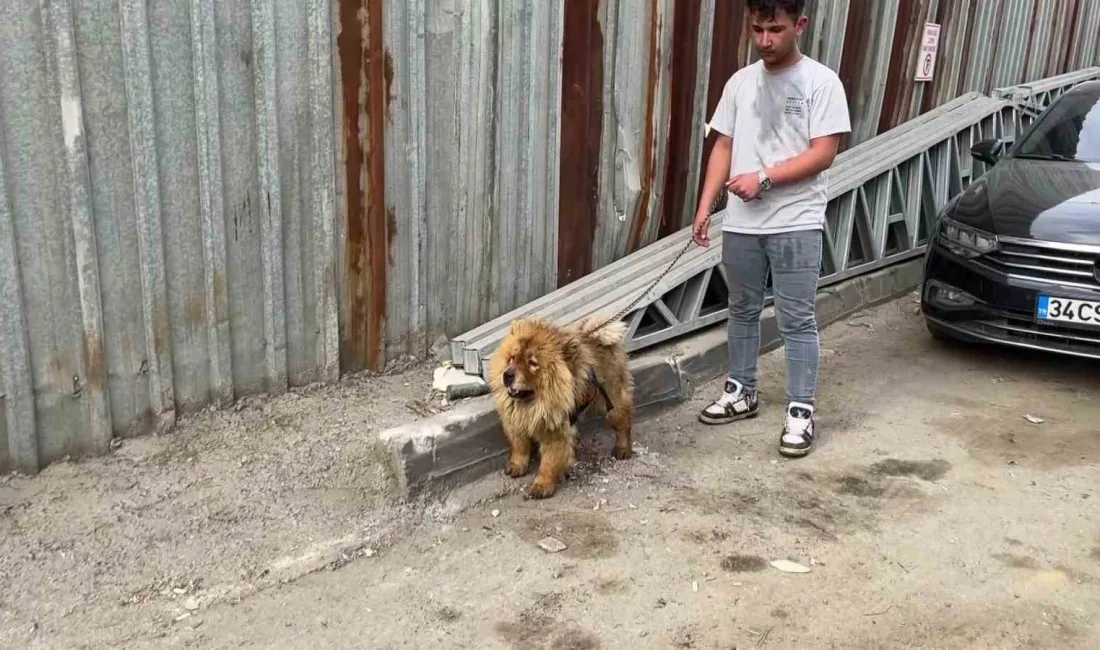 Kocaeli Gebze'deki hurda deposunda çıkan yangın kısa sürede büyüdü. İtfaiye